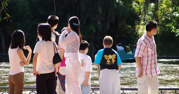 青年活動 - 玫瑰公園